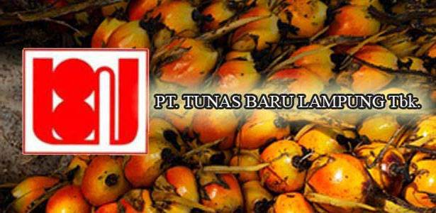 Tunas-Baru-Lampung