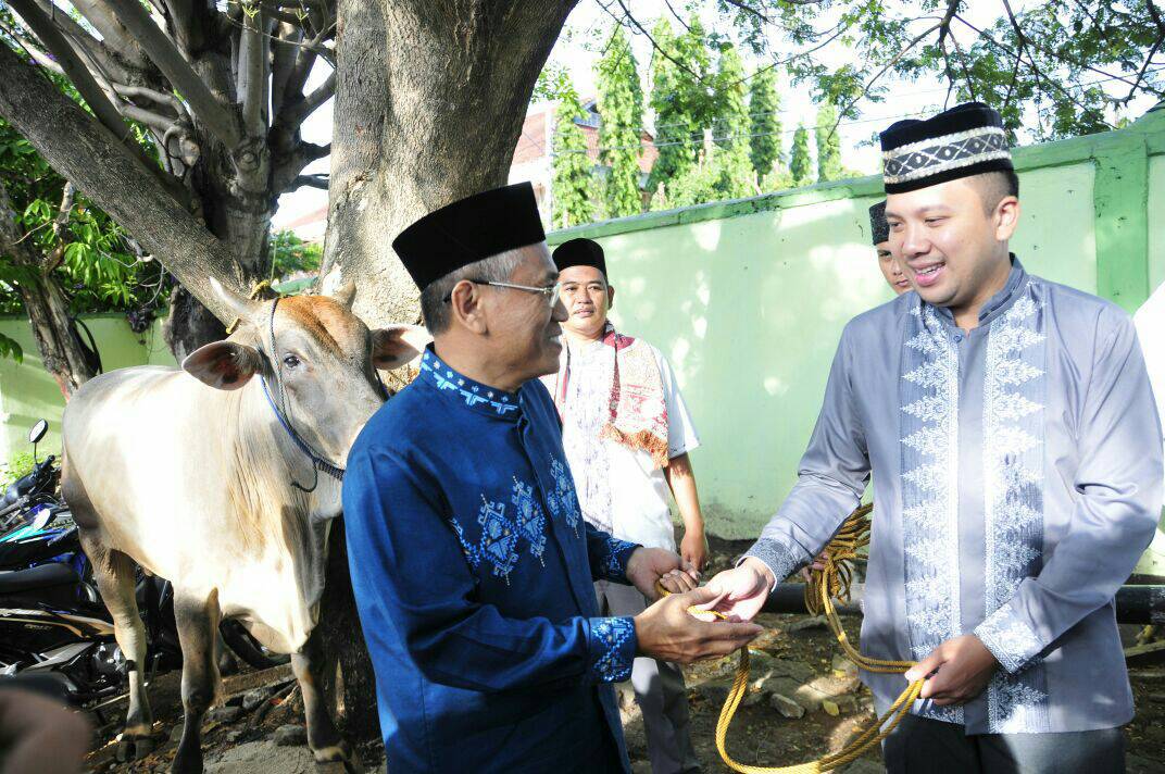 Gubernur Lampung M.Ridho Ficardo menyerahkan hewan korban berupa satu ekor sapi 