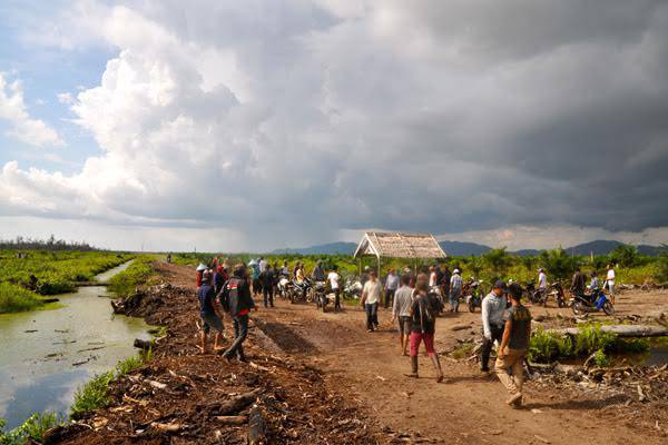 lahan perkebunan yang jadi konflik masyarakat desa sungai cambai dengan pt prima alumga di kabupaten mesuji.